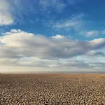La D’o *
