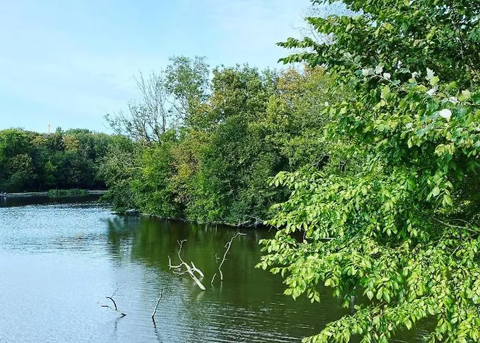 La D'o Apartment Ostend